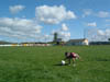 tadhg
