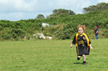 Faoi 8 v An Cheathr Rua